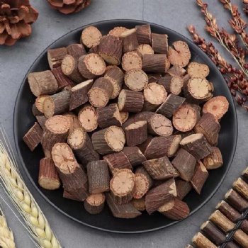 Shou Wu Teng vine of multiflower knotweed