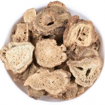 Mu Xiang elecampane Aucklandia lappa Decne