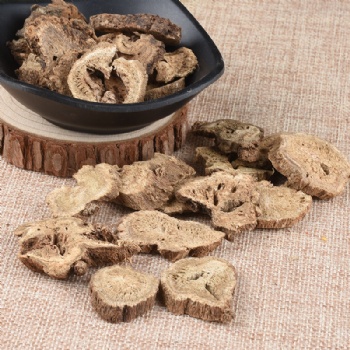 Mu Xiang elecampane Aucklandia lappa Decne