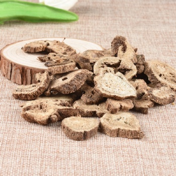 Mu Xiang elecampane Aucklandia lappa Decne