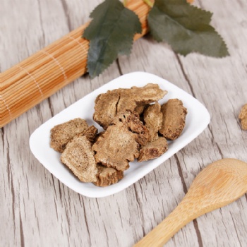 Mu Xiang elecampane Aucklandia lappa Decne