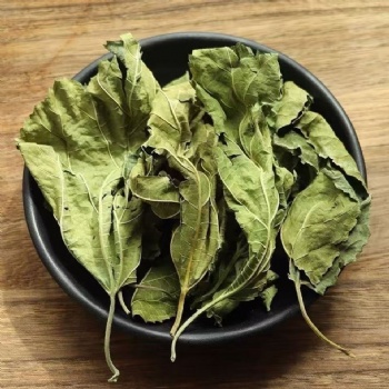 Sang Ye Mulberry Leave Mori Folium