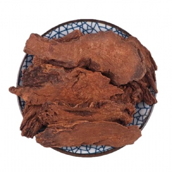 Suo Yang cynomorium songaricum