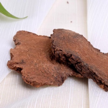 Suo Yang cynomorium songaricum