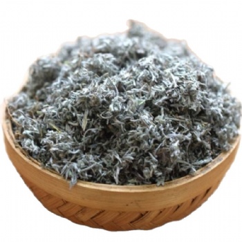 Yin Chen oriental Capillary wormwood Herb