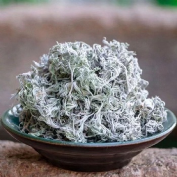 Yin Chen oriental Capillary wormwood Herb