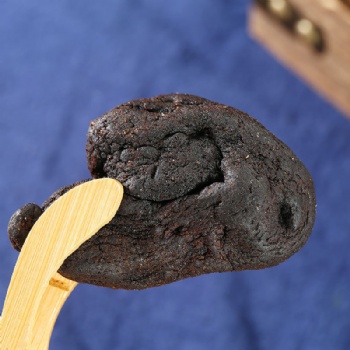 Huang Jing Solomonseal Rhizome rhizoma polygonati