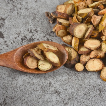 Sang Ji Sheng parasitic loranthus Taxillus sutchuenensis