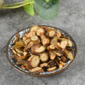 Sang Ji Sheng parasitic loranthus Taxillus sutchuenensis