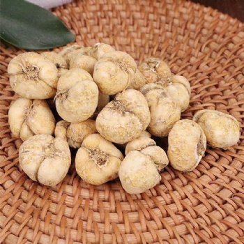 Zhe Bei Mu Thunberg Fritillary Bulb