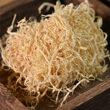 Zhu Ru caulis bambusae in taeniam