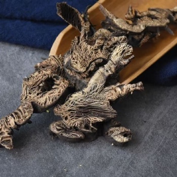 Sheng Ma Largetrifoliolious Bugbane Rhizome