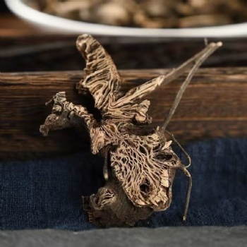 Sheng Ma Largetrifoliolious Bugbane Rhizome