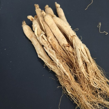 Ren Shen ginseng high quality