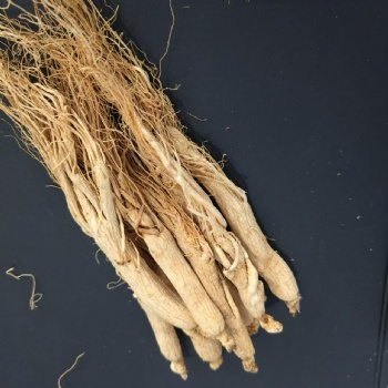 Ren Shen ginseng high quality