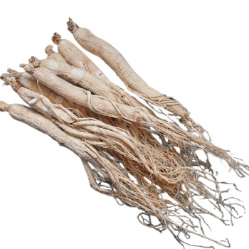 Ren Shen ginseng high quality