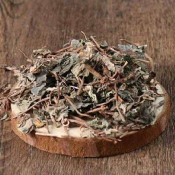 Guang Jin Qian Cao Desmodium styracifolium