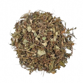 Guang Jin Qian Cao Desmodium styracifolium