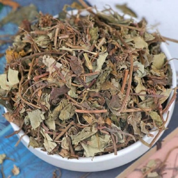 Guang Jin Qian Cao Desmodium styracifolium