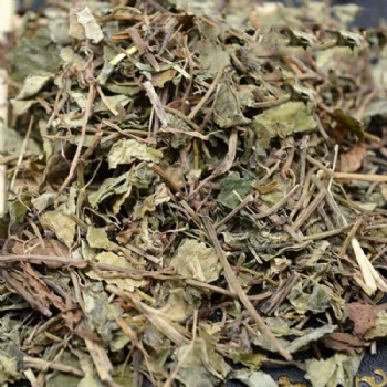 Guang Jin Qian Cao Desmodium styracifolium