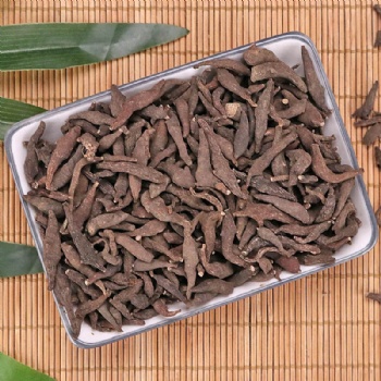 Zhi Cao Wu prepared kusnezoff monkshood root