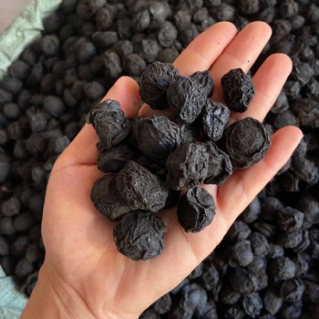 Wu Mei Prunus mume smoked plum