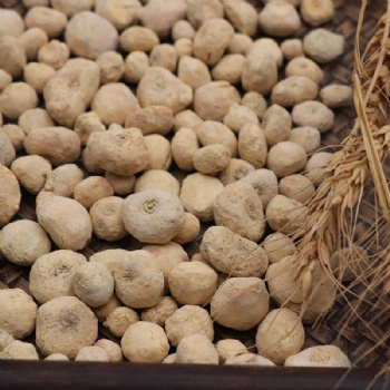 Fa Ban Xia Rhizoma Pinellinae Praeparata