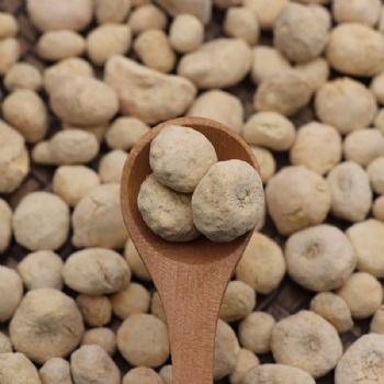 Fa Ban Xia Rhizoma Pinellinae Praeparata